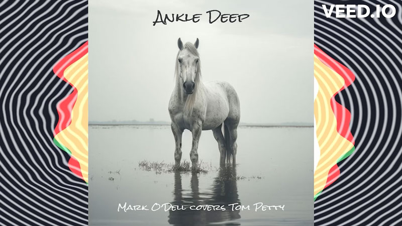 Mark O'Dell and Don't Back Down tribute to Ankle Deep by Tom Petty